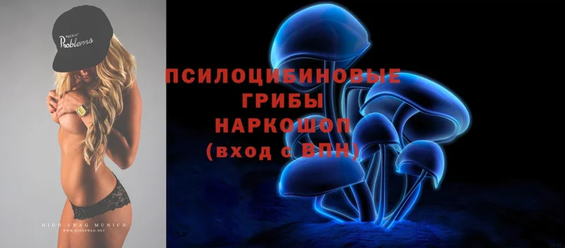 Псилоцибиновые грибы MAGIC MUSHROOMS  Буйнакск 